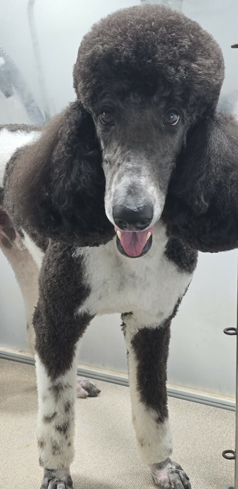 d6cb9718 55e9 4080 a5cc c7b7d80a43cc (1)