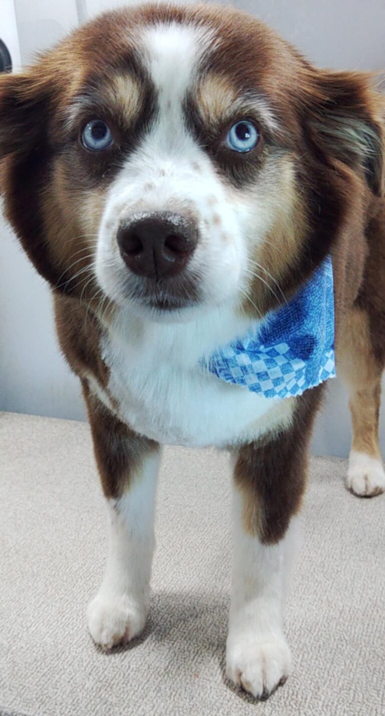 f7fc9d42 3256 4ad9 8d99 889a3a49cc47